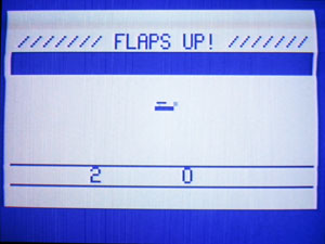Flaps Up!